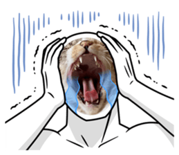 538138993