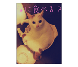 538139633