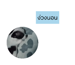538162365