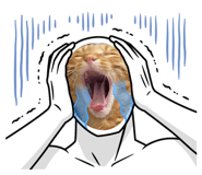 538162535