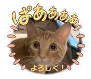 538162544