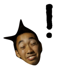 53828170