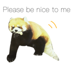 538330185