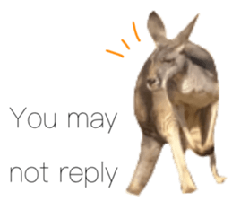 538330209