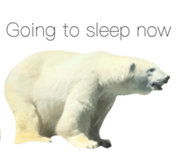 538330220