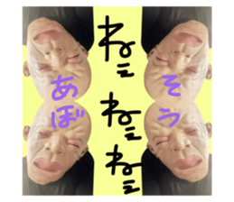 538340486