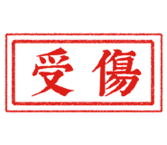 538346637