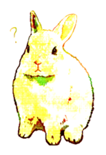538347054