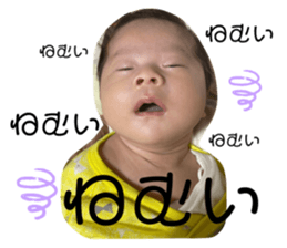 538349494