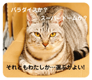 538352861