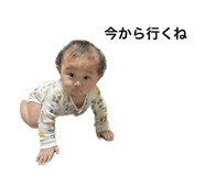 538357038
