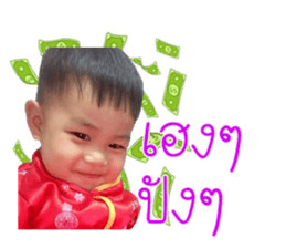 53836679