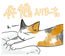 538405601