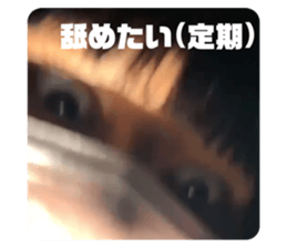 538424081