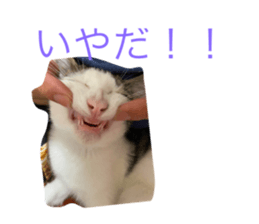 538425125