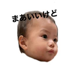 538431189