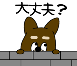 538483834