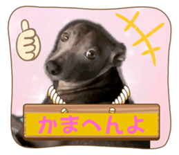 538505037