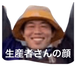 538547775