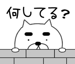 538557260
