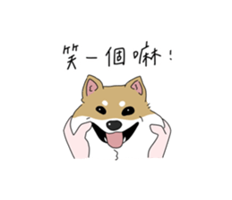 538566577