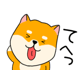 538635556