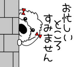 538635596