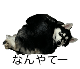 538642023