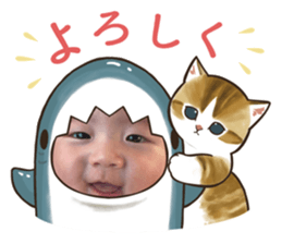538666143