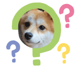 538667228