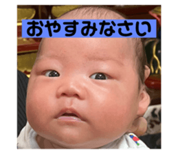 538667635