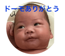 538667639