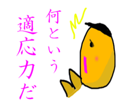5387624