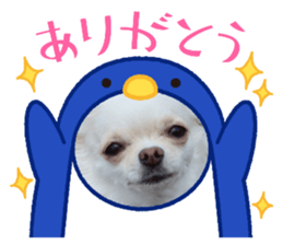 538851930