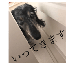 538854795
