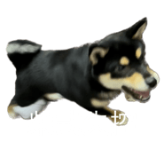 538869789