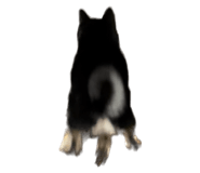 538869791