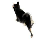 538869796