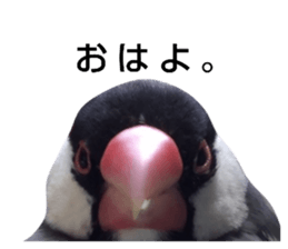 538876494