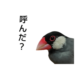 538876501