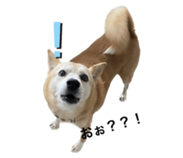538876619