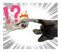 538882062