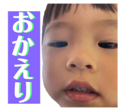 538883250