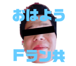 538883686