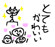 53888584