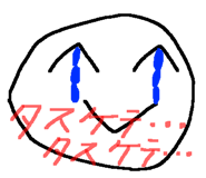 53888591