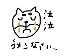 538886041