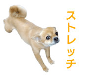 538894228