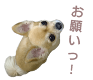 538894230
