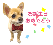 538894237